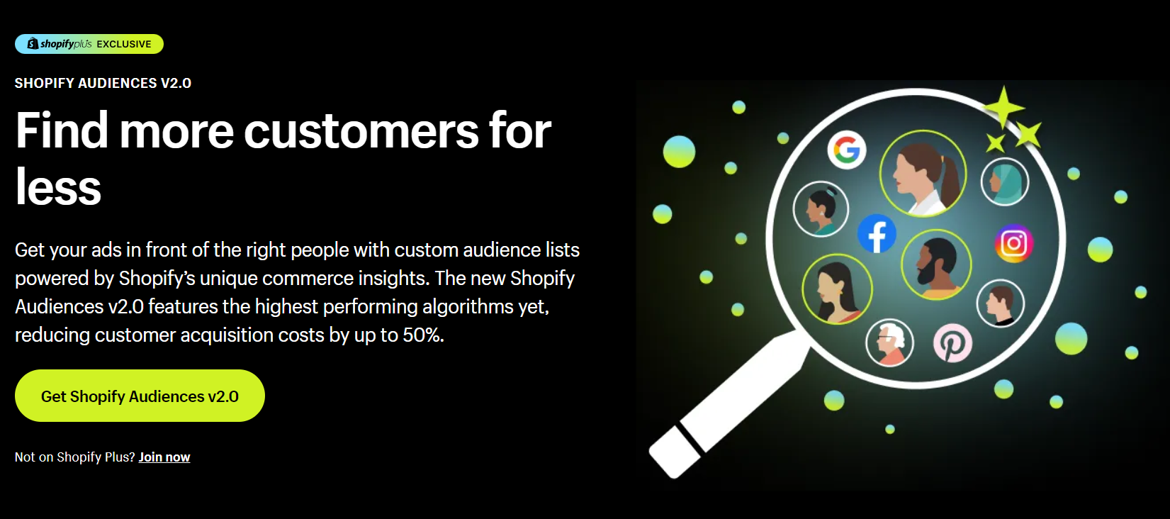 what is shopify audiences
