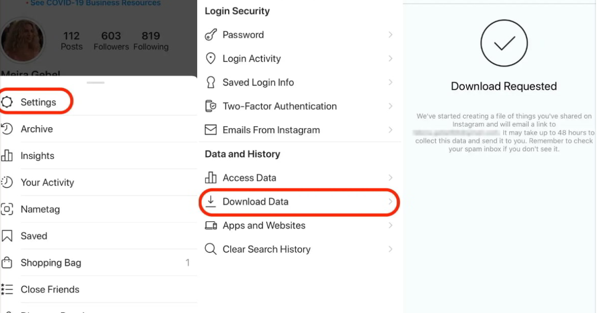 Use Instagram's Data Download Feature