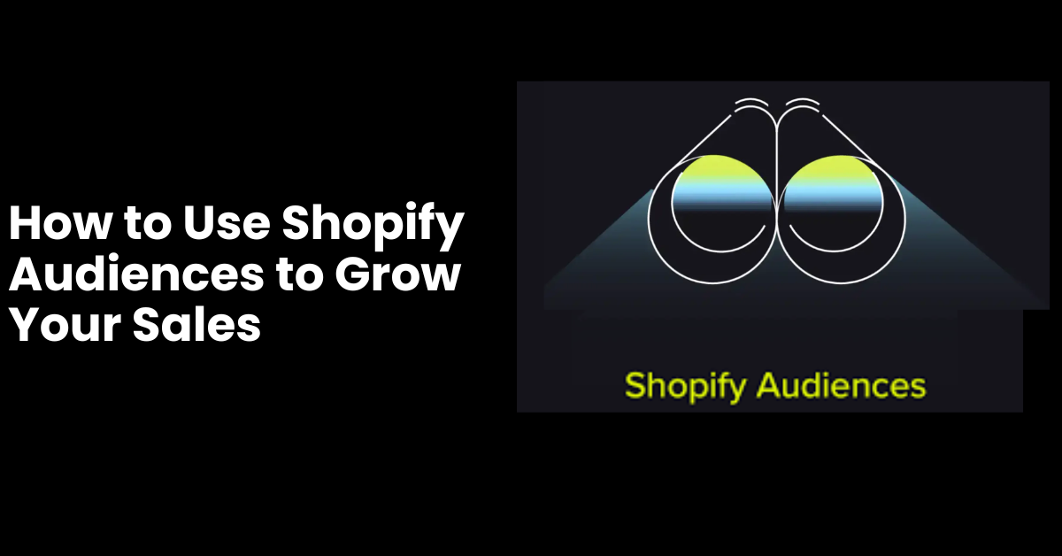 How to Use Shopify Audiences to Grow Your Sales